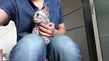 给猫咪拍视频，狗子非要挤进来
