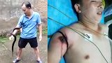 男子把玩眼镜蛇胳膊被咬 紧急送医后仍不治身亡