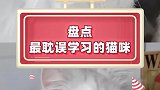 好家伙！这大学学的专业怕是如何撸猫吧