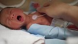 早产双胞胎兄弟在医院保温箱里顽强成长，希望两个宝贝快快长大
