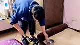 你这狗狗报复心咋这么强呢