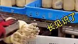 蘑菇生产过程，长见识了