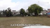 国外小伙路边捡到受伤狗狗，细心照料数月后，邻居纷纷抢着养