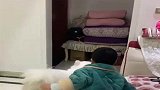 儿子一回来，就和小狗起了冲突，这一人一狗看完不要笑！