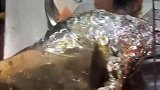 潮汕美食之古法炭炼响螺，是舌尖上的顶级食材