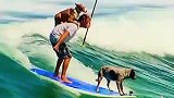 太帅啦，他和他的狗狗们一起乘风破浪