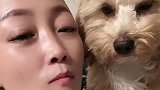 我家毛孩子一看到我就这样