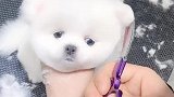 什么都阻止不了我变美的节奏