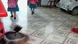 四胞胎作业写错了，放学看到爸爸拿家法等她们，吓得赶紧溜