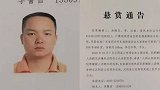 被悬赏百万非法吸存嫌犯汤晓东：我在境外融资