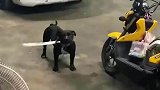 四道街阿黑你听说过吗