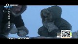 《去你的北极圈》之驾驶哈士奇雪橇的技巧