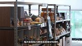 他丢下老婆，5年跑了47个县，尝遍百家饭，只为寻找地道家乡味！