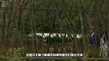 梅根“退出王室”后首亮相！穿羽绒服瞬间变路人，心情大好超开心