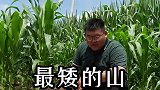 世界上最矮的山竟然在玉米地里！