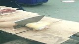 这个卖肉的老板真厉害，刀法快狠准，一般人怕是学不会