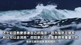 21岁女孩海上漂流36小时生还，发声感谢脂肪够去消耗：重量还是跟原来一致