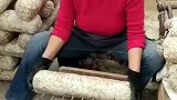 猪八戒的武器用在这里刚合适