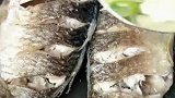 鲫鱼豆腐汤这样做，又鲜又白如牛奶，喝一口根本就停不下来！