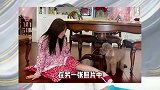 52岁杨钰莹晒独居生活，养狗种菜做美食玩城堡，状态宛如少女
