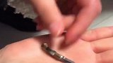 小姐姐网购了一把小刀，拆开快递小姐姐又气又笑，卖家也是奇葩！