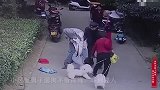 男子遛狗不栓狗绳吓到路人，还要求路人道歉，道歉不成还将其狂揍