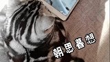 前天看到有人表白