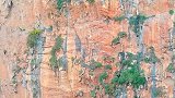 悬崖下发现一人家，不通车路还建了两层大房子，隐居的好地方贵州