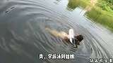 你这是学游泳啊，我还以为你学蛆呢
