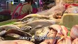 台湾查出日本秋刀鱼致癌物超标40倍，岛内网民担忧