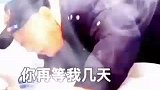 大爷的老伴不行了，病床上大爷抱着老伴，哭着让她再等自己几天
