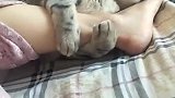 猫：不给我小鱼干，我就抱着你的腿不撒手了！