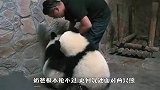 喝完奶却死活不给盆，谁能来帮帮奶爸啊，场面笑爆了