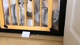 一群没用的玩意