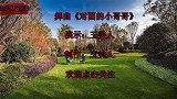 小哥哥高速堵车无聊来看支舞可好