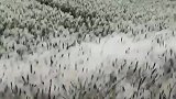 这要是谁手贱一下，就出大事了！