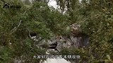 新疆湖泊发现“水怪”，牛羊接二连三的消失，专家在湖中找到真相