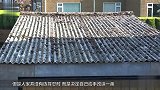 男子动手改造家中屋顶 要是引进中国农村 想不发财都难
