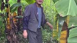 这个糟老头怎么那么喜欢多管闲事