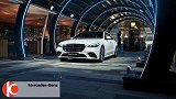 2021 梅赛德斯-奔驰S级轿车 S 500