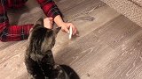猫咪站在椅子边上，不知道要干什么，样子太逗了！