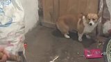 这是演习的重要性