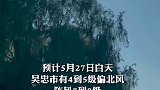 大风蓝色预警！吴忠5月27日白天阵风可达8级！广大群众注意做好防风、防沙、防火工作。