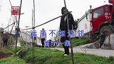 云南民间山歌《远亲不如近邻》第十一集