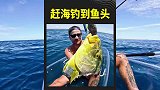 小伙开着透明小船赶海，不料被金色海蛇尾随