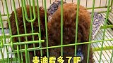 你以为逛街包里只能带手机吗？