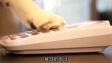 憨狗真是让我操碎了心