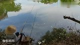 炎热夏季钓鱼要钓凉，高手大树下、枯枝旁挥杆守钓，就等巨物来袭