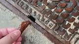 下水道里是哪个小可爱啊