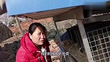胖妹夫妻厨艺大比拼！一道鲫鱼汤各有千秋，谁厨艺更厉害？